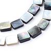 Natural Black Lip Shell Bead Strands SHEL-S249-34-2