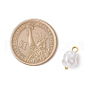 Eco-Friendly Plastic Imitation Pearl Charms PALLOY-JF03968-01-2
