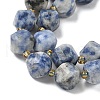 Natural Blue Spot Jasper Beads Strands G-U023-A05-01-4