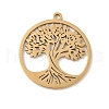 304 Stainless Steel Pendants STAS-V016-11G-1