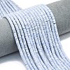 Synthetic Blue Lace Agate Beads Strands G-P575-B35-4x1mm-1