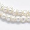 Natural Cultured Freshwater Pearl Beads Strands PEAR-F007-61-3