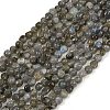 Natural Labradorite Beads Strands G-Q060-B02-2