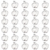 DICOSMETIC 304 Stainless Steel Charms STAS-DC0011-23-1
