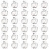 DICOSMETIC 304 Stainless Steel Charms STAS-DC0011-23-1