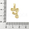 Brass Micro Pave Cubic Zirconia Pendants ZIRC-C012-01G-06-3