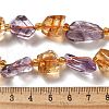Natural Citrine & Amethyst Beads Strands G-H074-C01-03-5