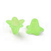 Transparent Acrylic Beads PLF018-05-5