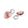 Faceted Transparent Glass Charms GLAA-T024-04J-3