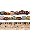Natural Alashan Agate Beads Strands G-Q060-D19-01-5
