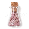 3Pcs 3 Styles Transparent Glass Wishing Bottle Decoration PALLOY-JF03093-2