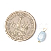 20Pcs Opaque Baking Painted Crackle Glass Charms PALLOY-JF03952-04-3