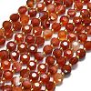 Natural Red Striped Agate/Banded Agate(Dyed & Heated) Beads Strands G-C116-A28-02-2