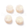 Illusory Color Sealing Wax Particles X-DIY-E033-A46-2