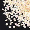 Shining Nail Art Glitter MRMJ-T017-04J-2