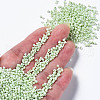 Glass Seed Beads SEED-S060-A-971-4