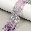 Natural Fluorite Beads Strands G-P457-B01-55-1