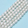 Natural Cultured Freshwater Pearl Beads Strands PEAR-J006-07F-2