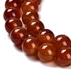 Dyed Natural Carnelian Beads Strands G-G203-10N-14mm-4