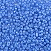 Baking Paint Glass Seed Beads SEED-L011-09A-05-3