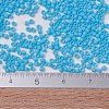 MIYUKI Delica Beads SEED-JP0008-DB0755-4