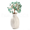 Mother's Day Natural Mixed Stone Chips Money Tree Decorations DJEW-C016-01-2