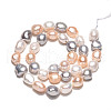Natural Cultured Freshwater Pearl Beads Strands PEAR-N014-09A-02-3