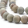 Natural Silver Leaf Jasper Beads Strands G-T106-235-2