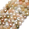 Natural Gemstone Beads Strands G-C116-A125-01-2