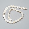 Natural Freshwater Shell Beads X-BSHE-I011-01D-02-2