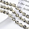 Natural Dalmatian Jasper Beads Strands G-N326-100-02-4