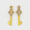 Tibetan Style Alloy Pendants GLF0220Y-1