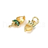 Brass Micro Pave Cubic Zirconia Charms ZIRC-H119-06G-01-2