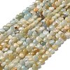Natural Flower Amazonite Beads Strands G-P575-C07-6mm-2