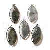 Natural Labradorite Pendants G-G063-03D-1