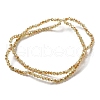 Electroplate Glass Faceted Rondelle Beads Strands EGLA-D020-3x2mm-58-5