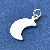 925 Sterling Silver Charms STER-B007-01S-02-2
