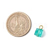 Transparent Acrylic with Iron Pendants PALLOY-JF03680-01-2