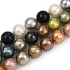 Faceted Round Shell Pearl Beads Strands BSHE-XCP0001-53-2
