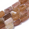 Natural Botswana Agate Beads Strands G-N327-04-02-1-1