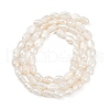 Natural Cultured Freshwater Pearl Beads Strands PEAR-P064-20E-02B-3