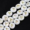 Natural Freshwater Shell Beads SHEL-S276-168A-1