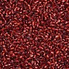 Glass Bugle Beads SEED-S032-08A-25-3