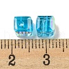 Electroplate Glass Beads EGLA-Z004-04A-06-3