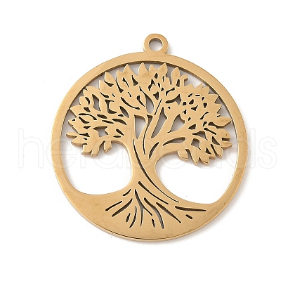 304 Stainless Steel Pendants STAS-V016-11G-1