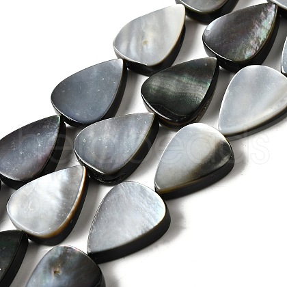 Natural Black Lip Shell Beads Strands BSHE-D300-04C-1