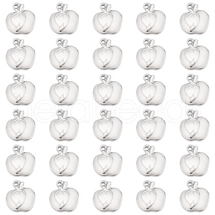 DICOSMETIC 304 Stainless Steel Charms STAS-DC0011-23-1