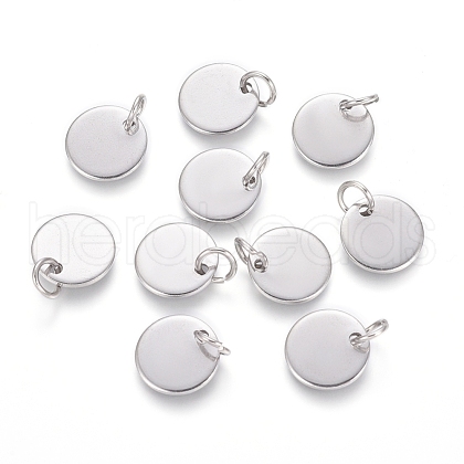 Non-Tarnish 304 Stainless Steel Charms STAS-I124-01B-P-1
