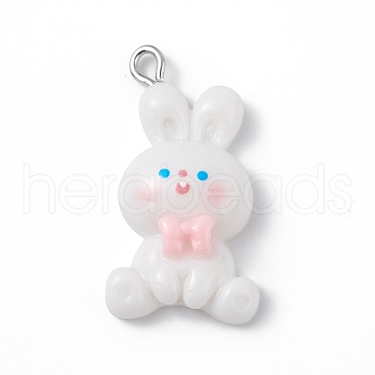 Opaque Resin Pendants RESI-D064-02P-04-1