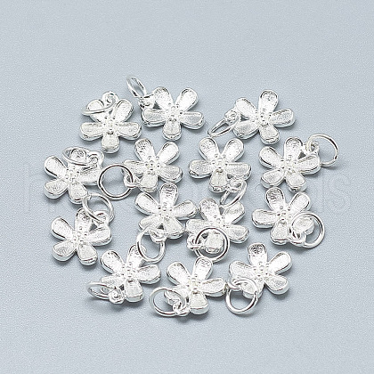 925 Sterling Silver Charms STER-T002-63S-1